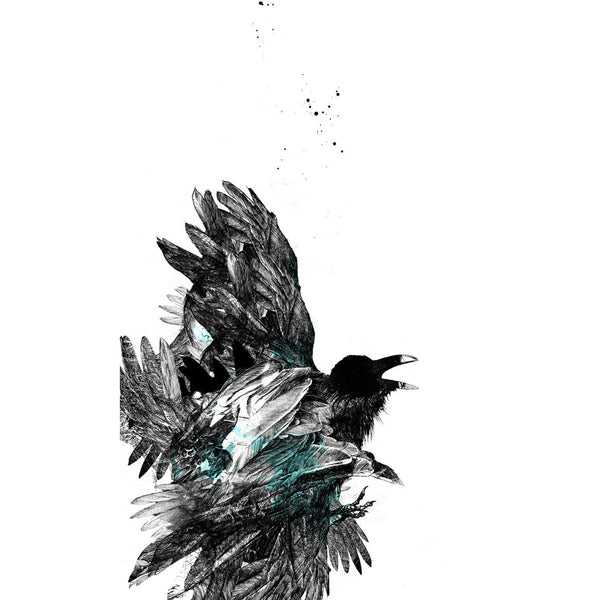 Crow