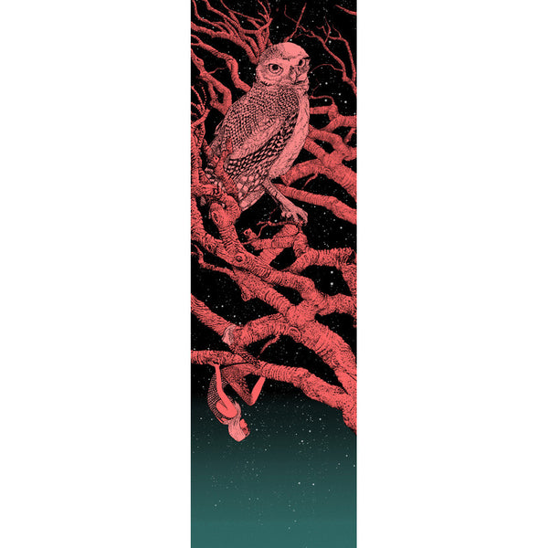 Owl Cosmo