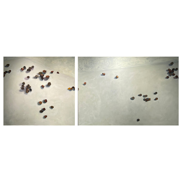 Still Life Series: Seeds