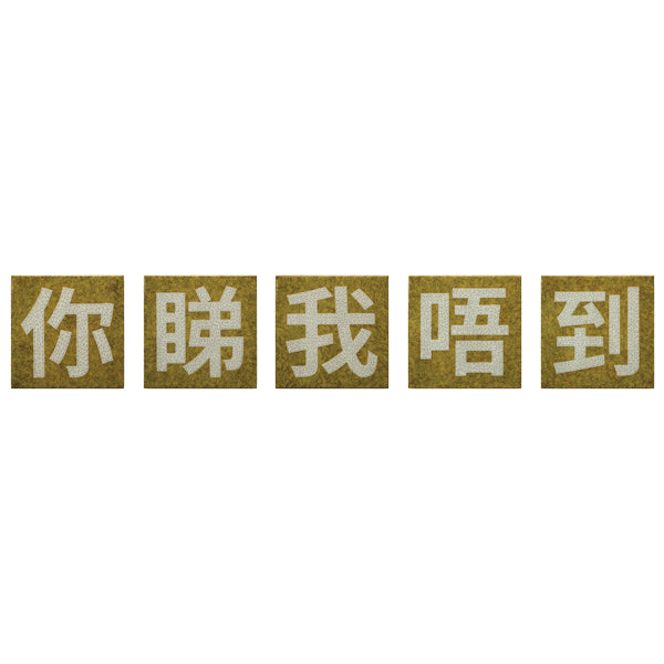You Can't See Me 你睇我唔到