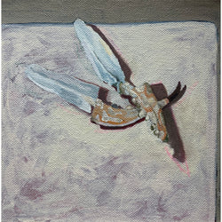 Still Life Series: Crab