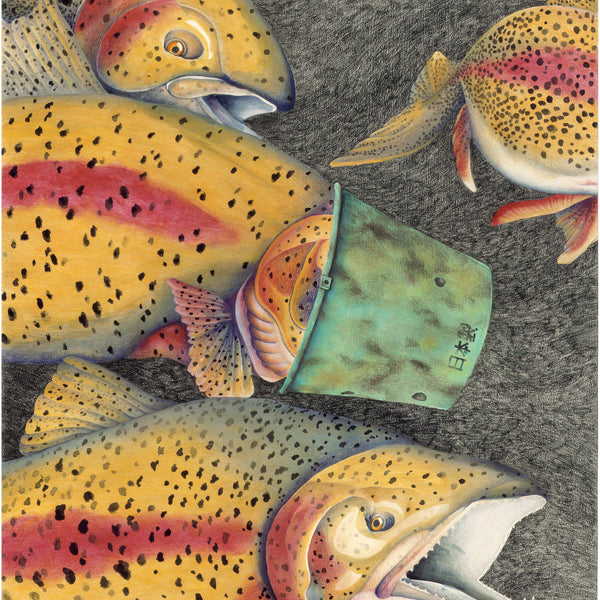 Tōhoku, Japan, 2011 (Rainbow Trout)