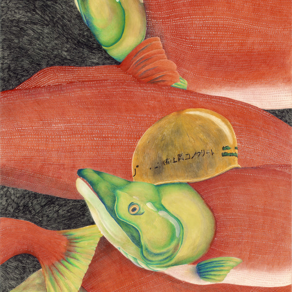 Tōhoku, Japan, 2011    (Sockeye Salmon)